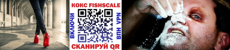 COCAIN Fish Scale  как найти   Калуга 