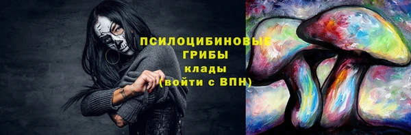 шишки Балабаново