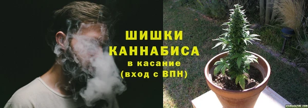 шишки Балабаново