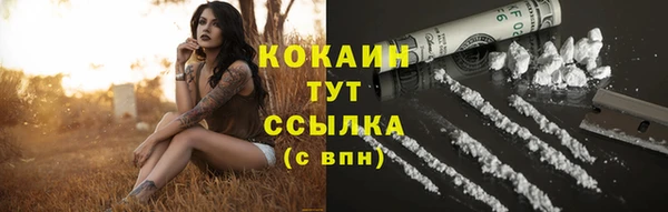 шишки Балабаново