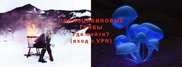 шишки Балабаново