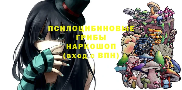 шишки Балабаново