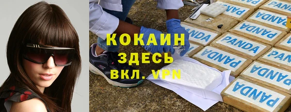 шишки Балабаново