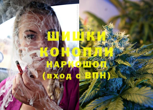 шишки Балабаново