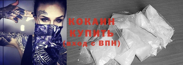 шишки Чита