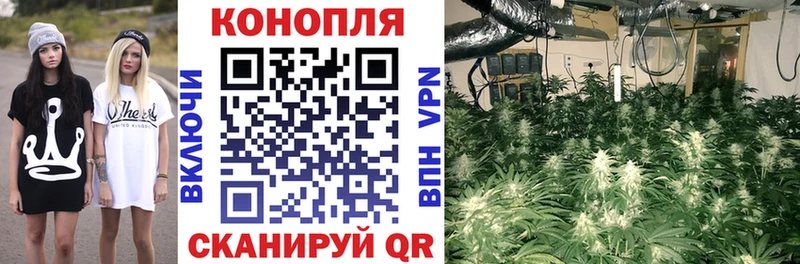 кракен ссылки  Калуга  Конопля OG Kush 